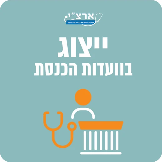 ייצוג בוועדות הכנסת